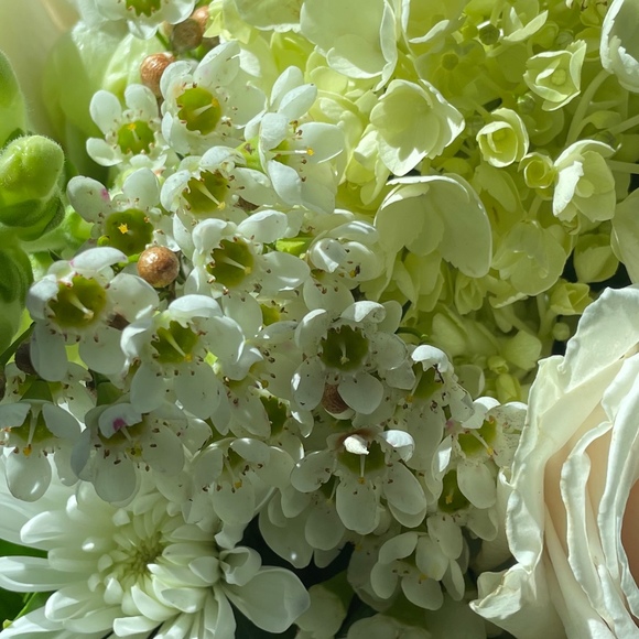 Meet your Posher, Rashel - Picture 1 of 1